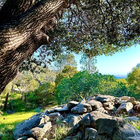 Emerald Ranch Of Yosemite Villa Coarsegold Eksteriør billede
