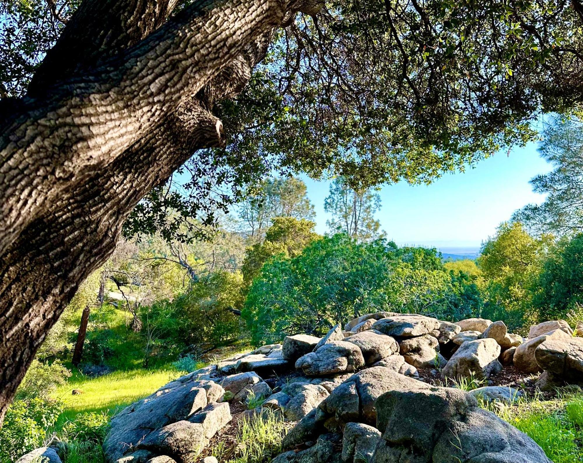 Emerald Ranch Of Yosemite Villa Coarsegold Eksteriør billede